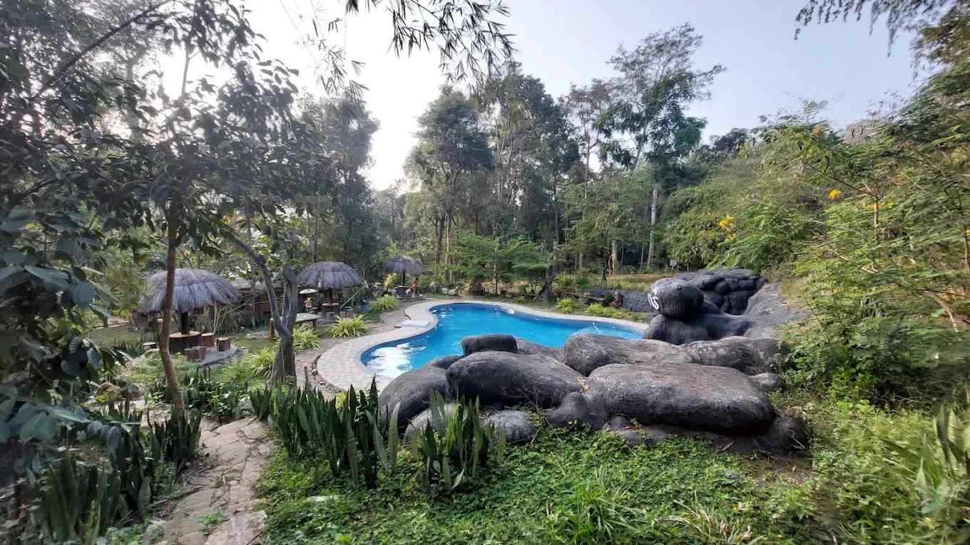 Wild Treehouse-image-1