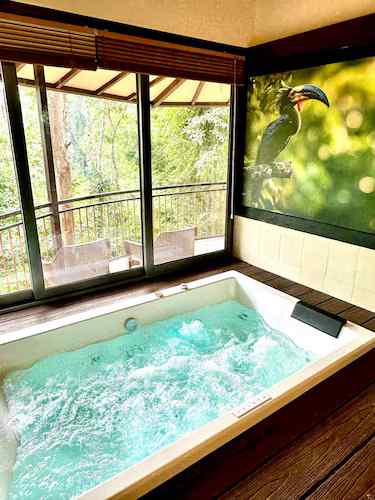 Wild Treehouse-image-2