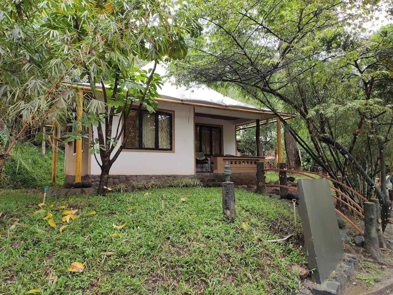 Wild Treehouse-image-3