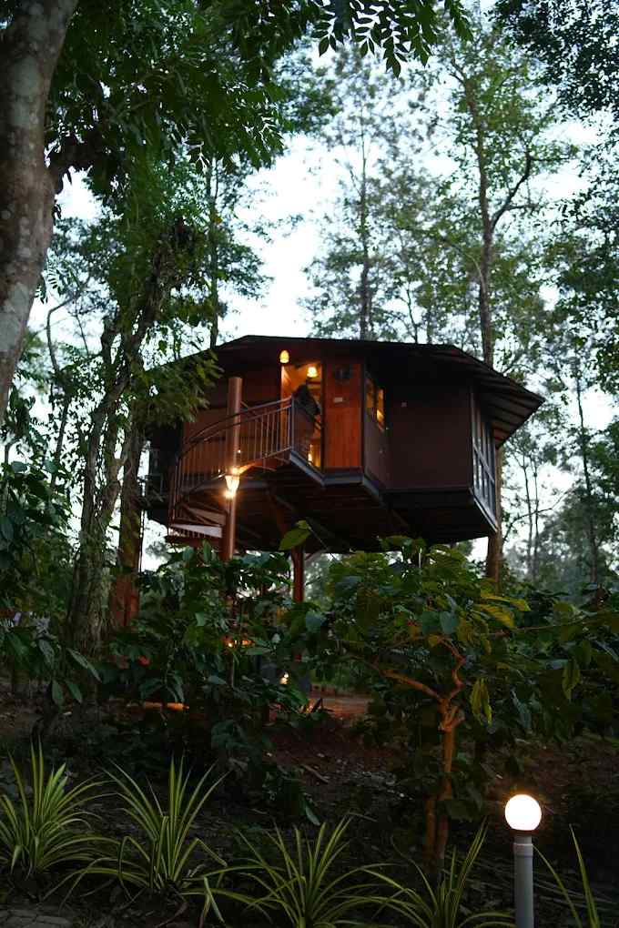 Wild Treehouse, Kattikkulam Kerala | video