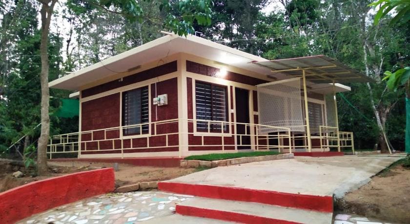 Wayanad Woods, Wayanad Kerala | video