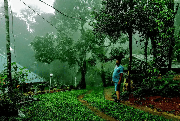 Munnar Eco-Farm Retreat-image-2