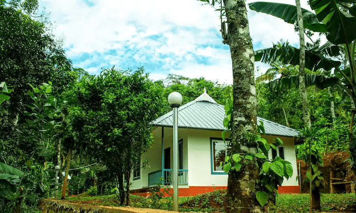 Munnar Eco-Farm Retreat-image-3