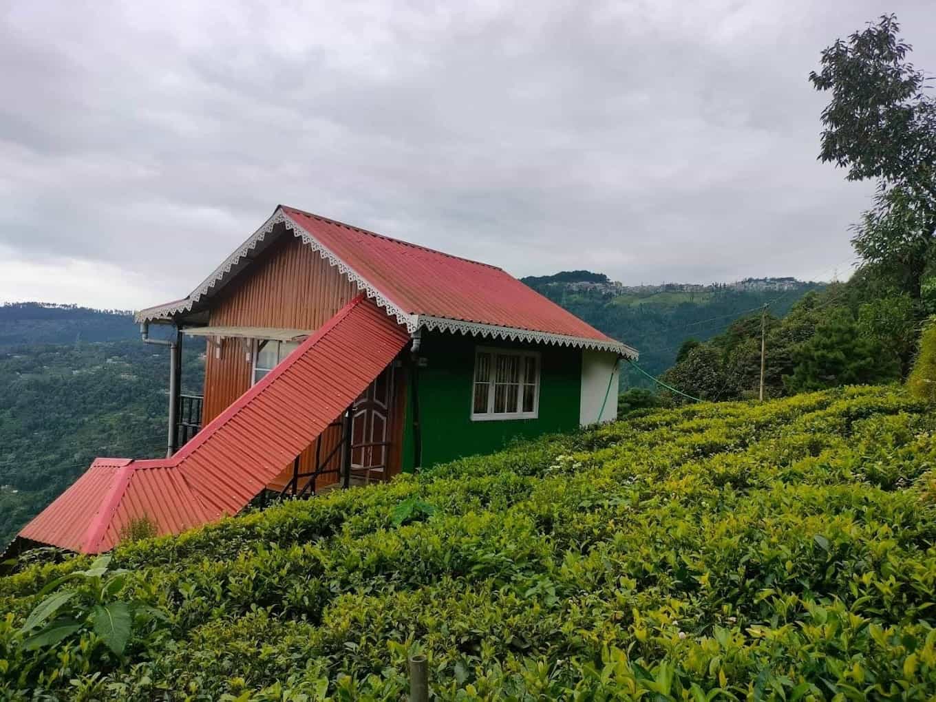Nirvana Tea Retreat-video-large