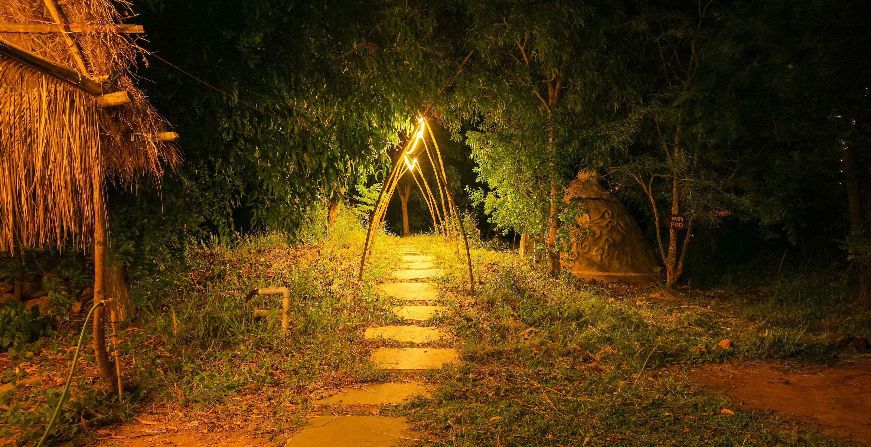 Amara Fields-image-3