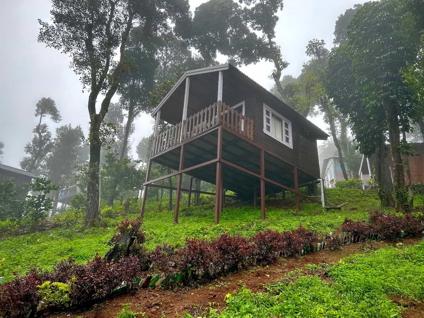 Coffee Planters Estate-image-1