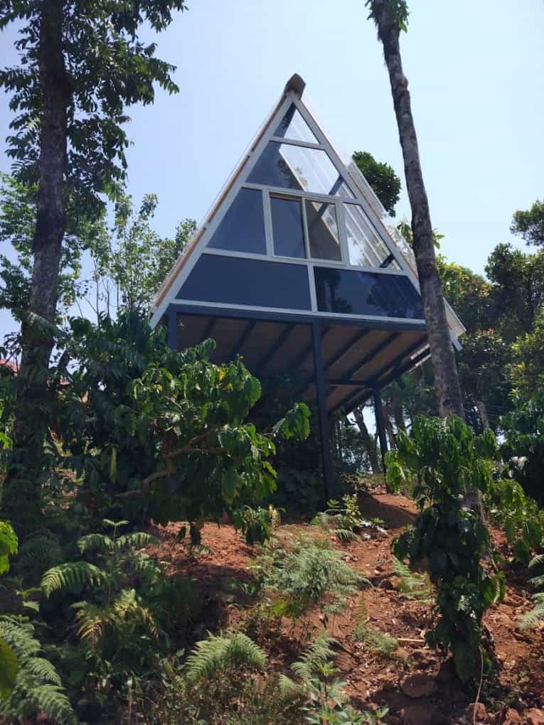 Coffee Planters Estate, Mudigere Karnataka | video