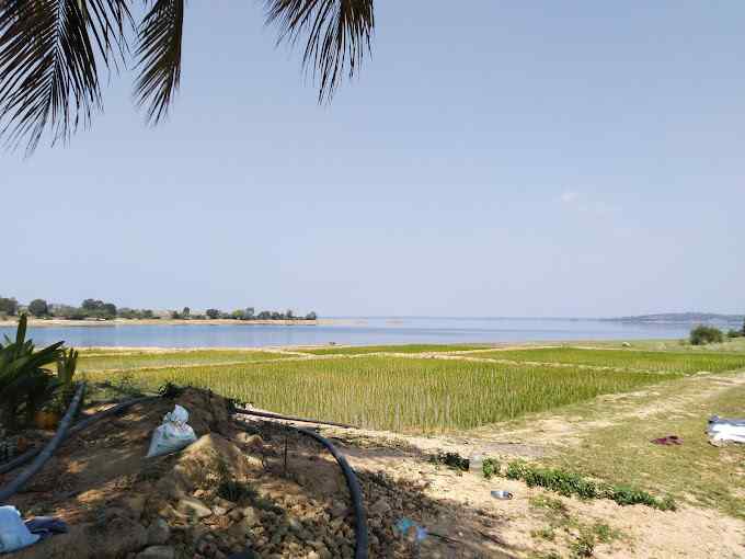 Backwaters Homestay-image-3