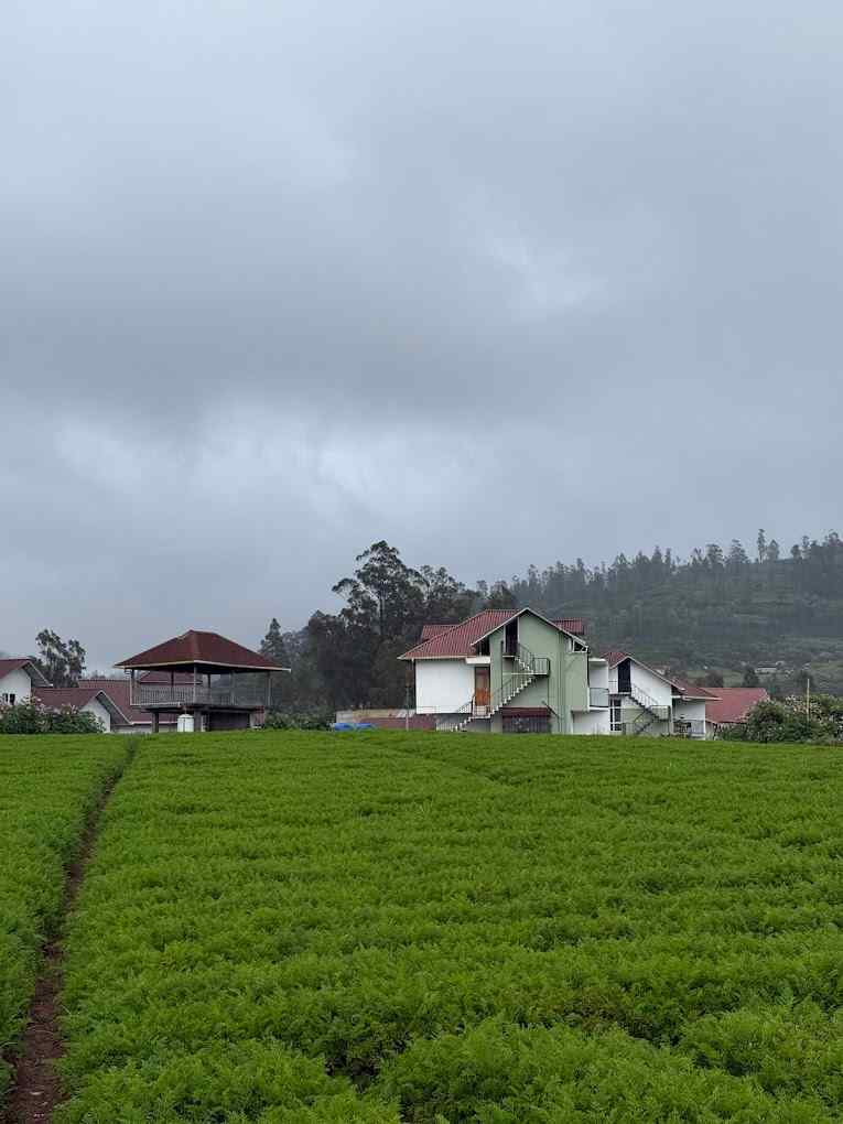 The Floral Crest, Ooty Tamil Nadu | video