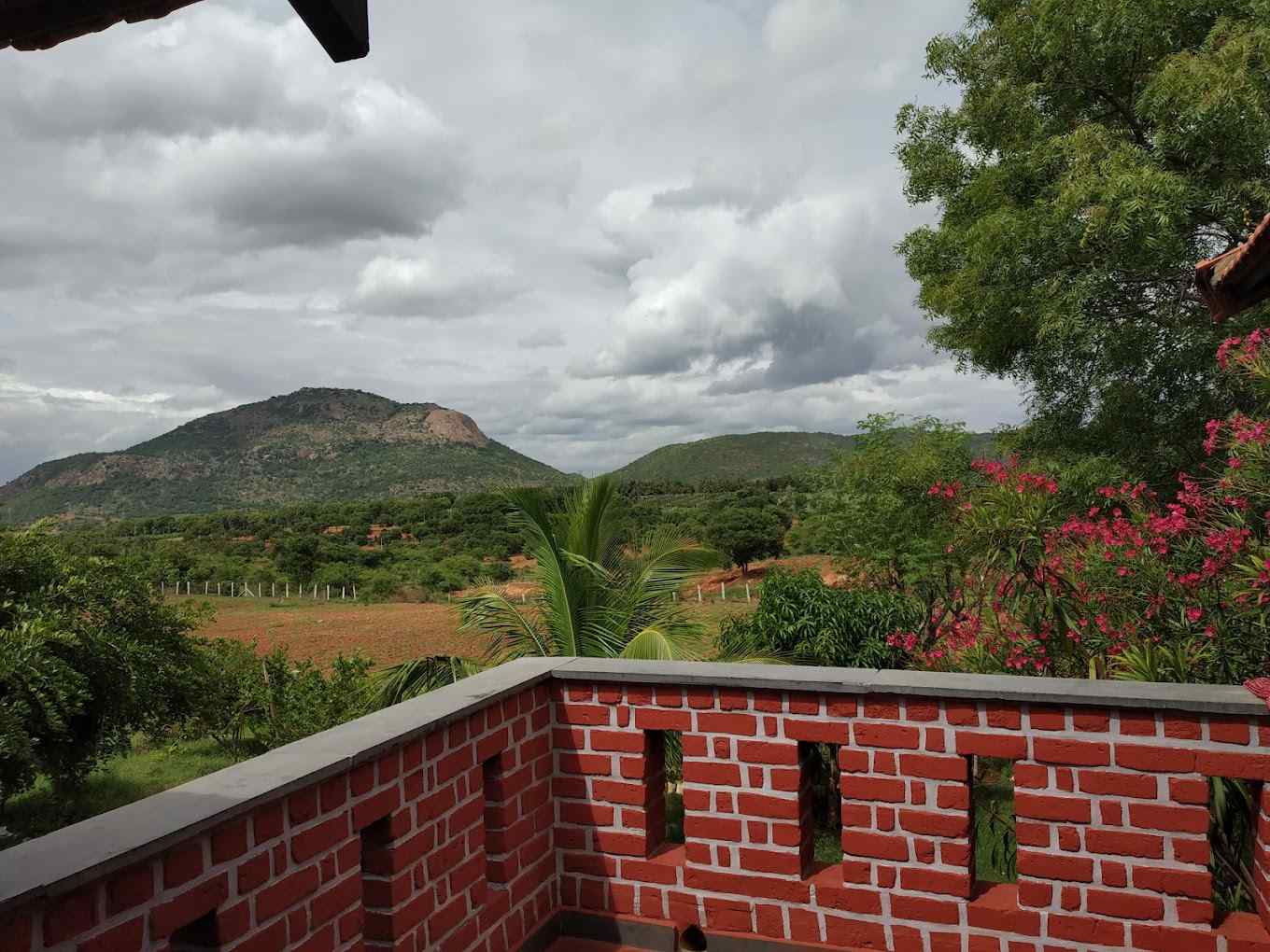 Eco Haven Village-image-3