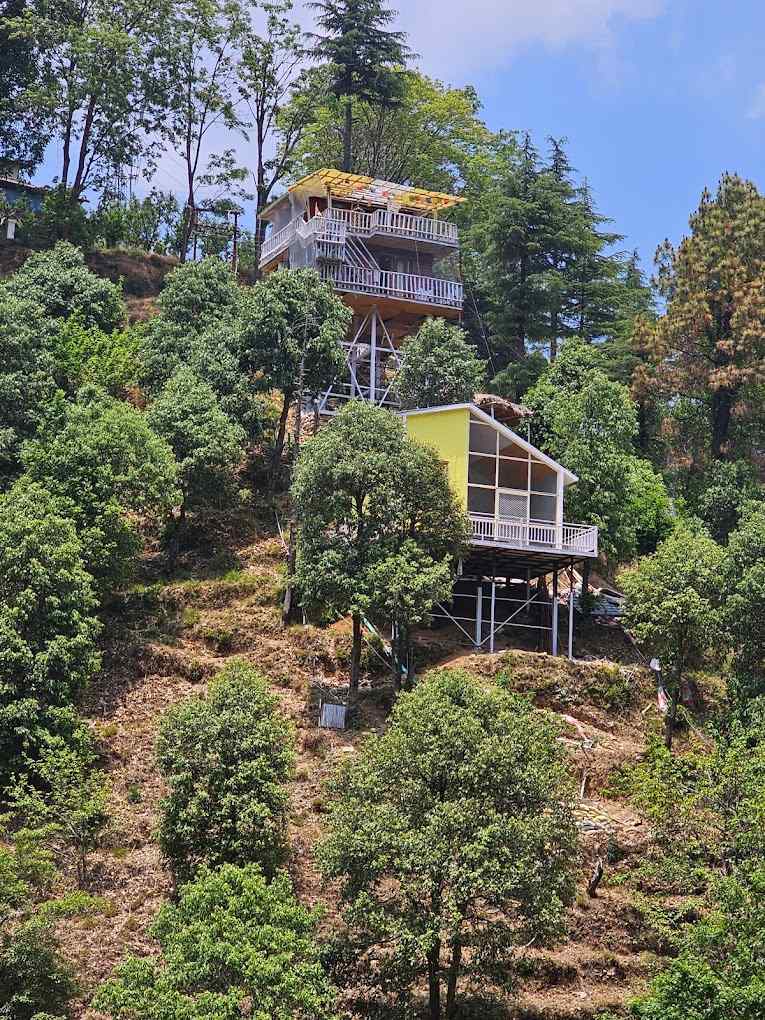 Hillside Treehouse-image-2