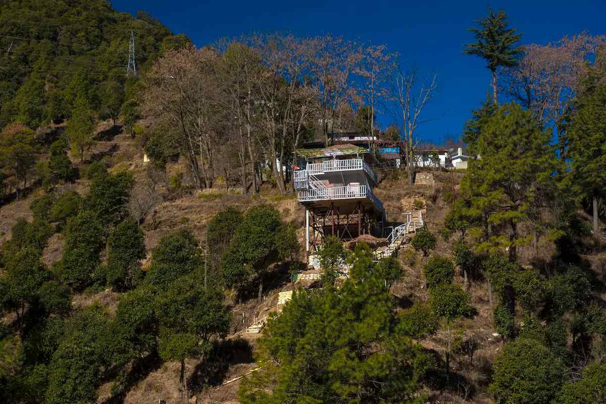 Hillside Treehouse-image-3