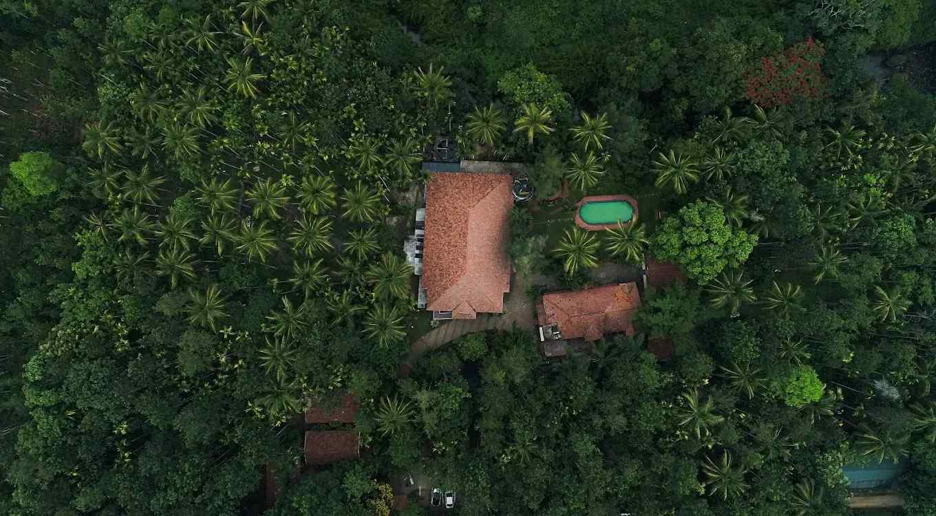 Flower Trail Resort, Wayanad Kerala | video