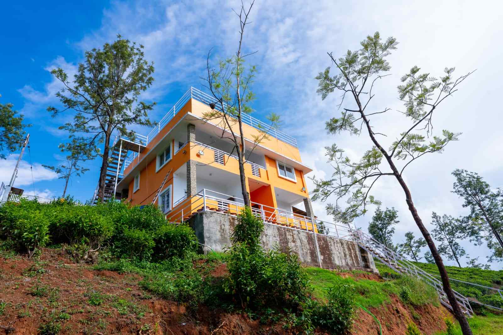 Tranquil Villa-image-2