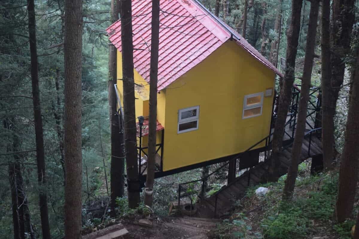 Dreamy Escape, chail Himachal Pradesh | video