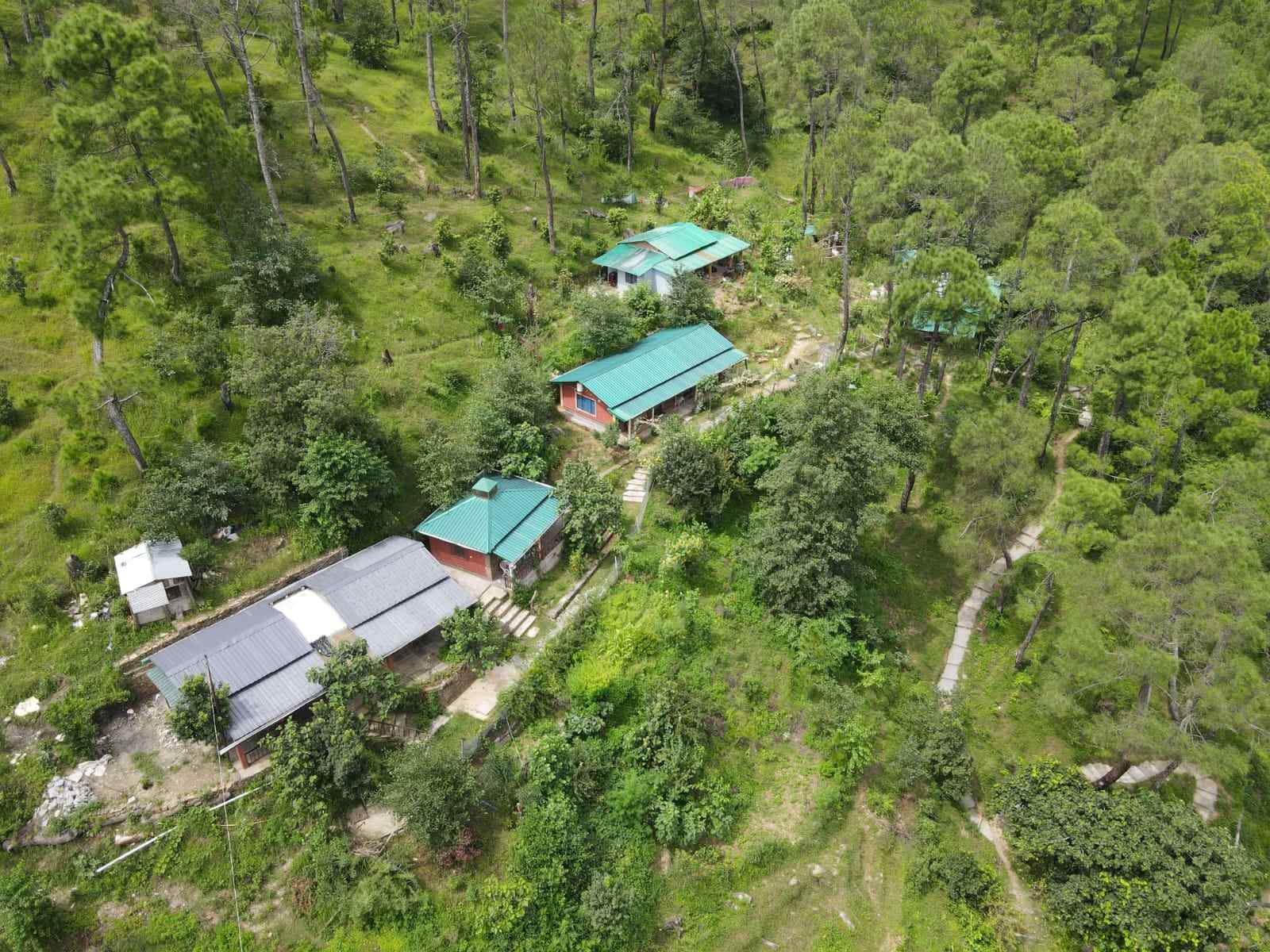 Calm Haven Homestay-image-1