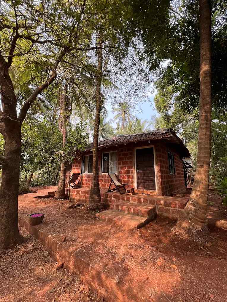 Roots Retreat, Ratnagiri Maharashtra | video