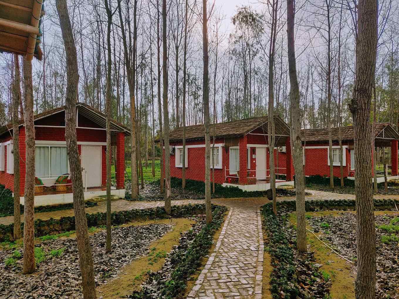 The Wooden Cottages-video-large