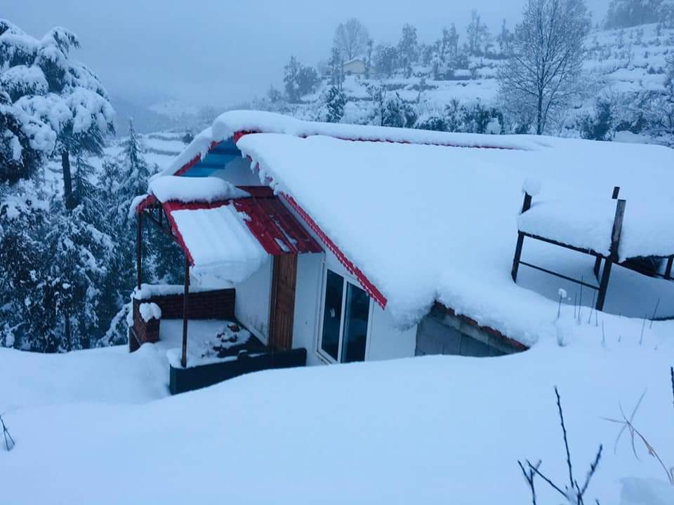 Beautiful Nature's Cabin-image-2