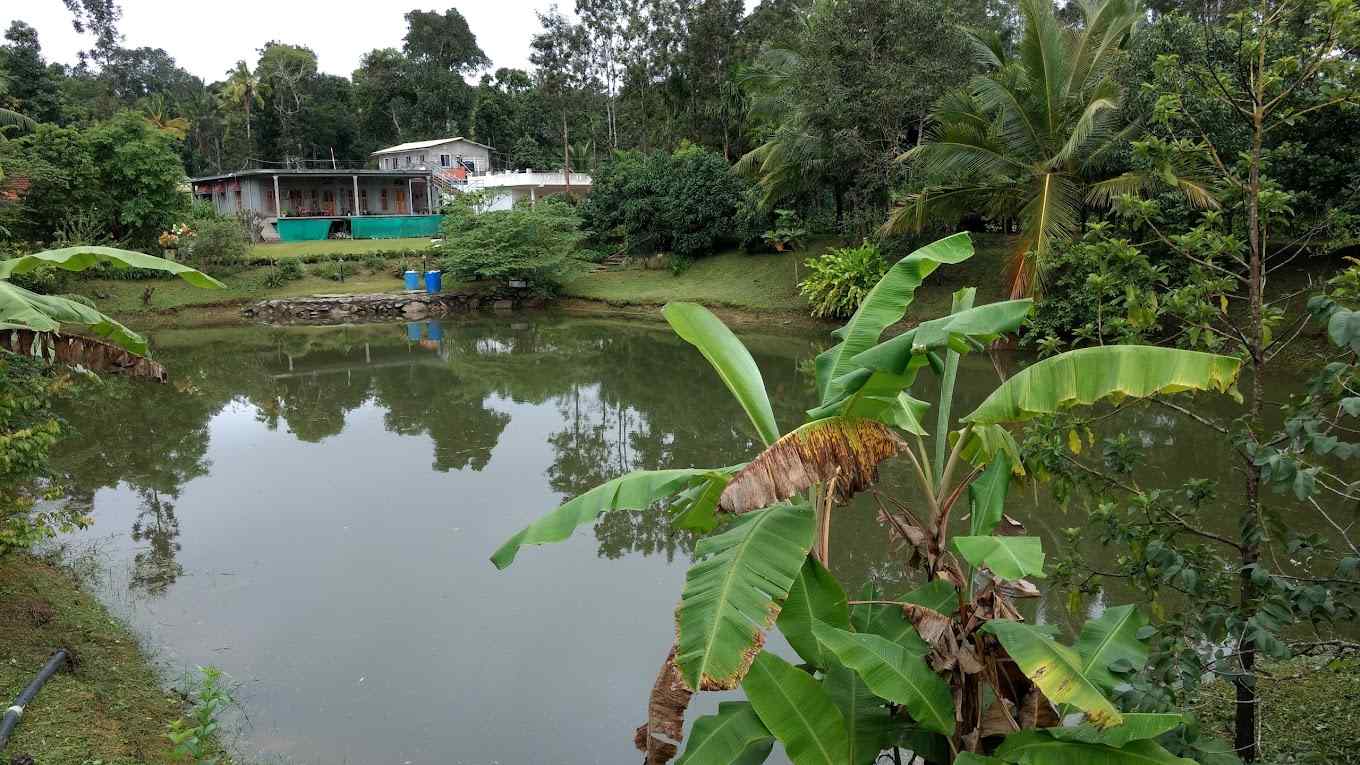 Coorg Homestay, Coorg Karnataka | video