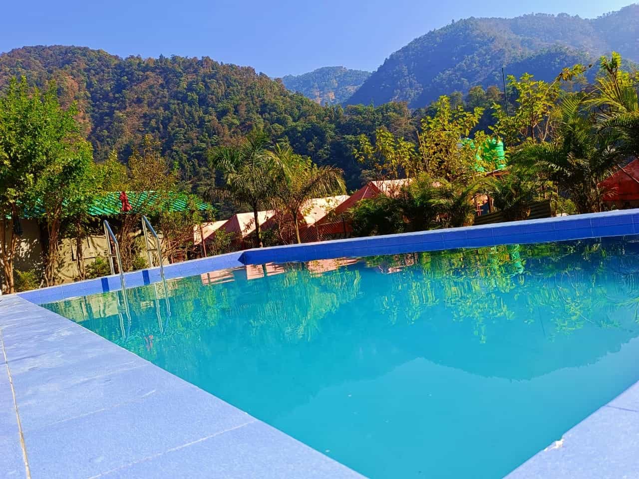 Peacock Camp-image-1