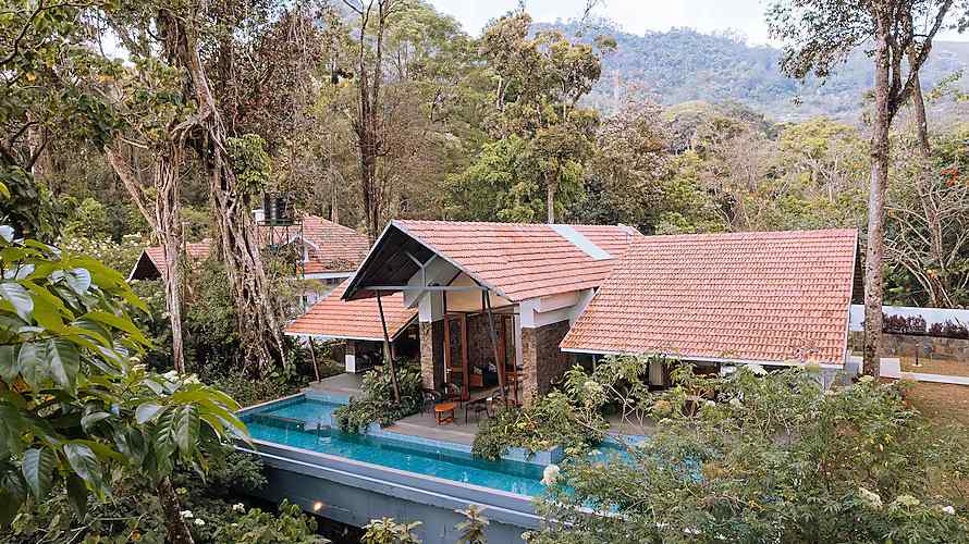 The Evergreen Grove-image-1