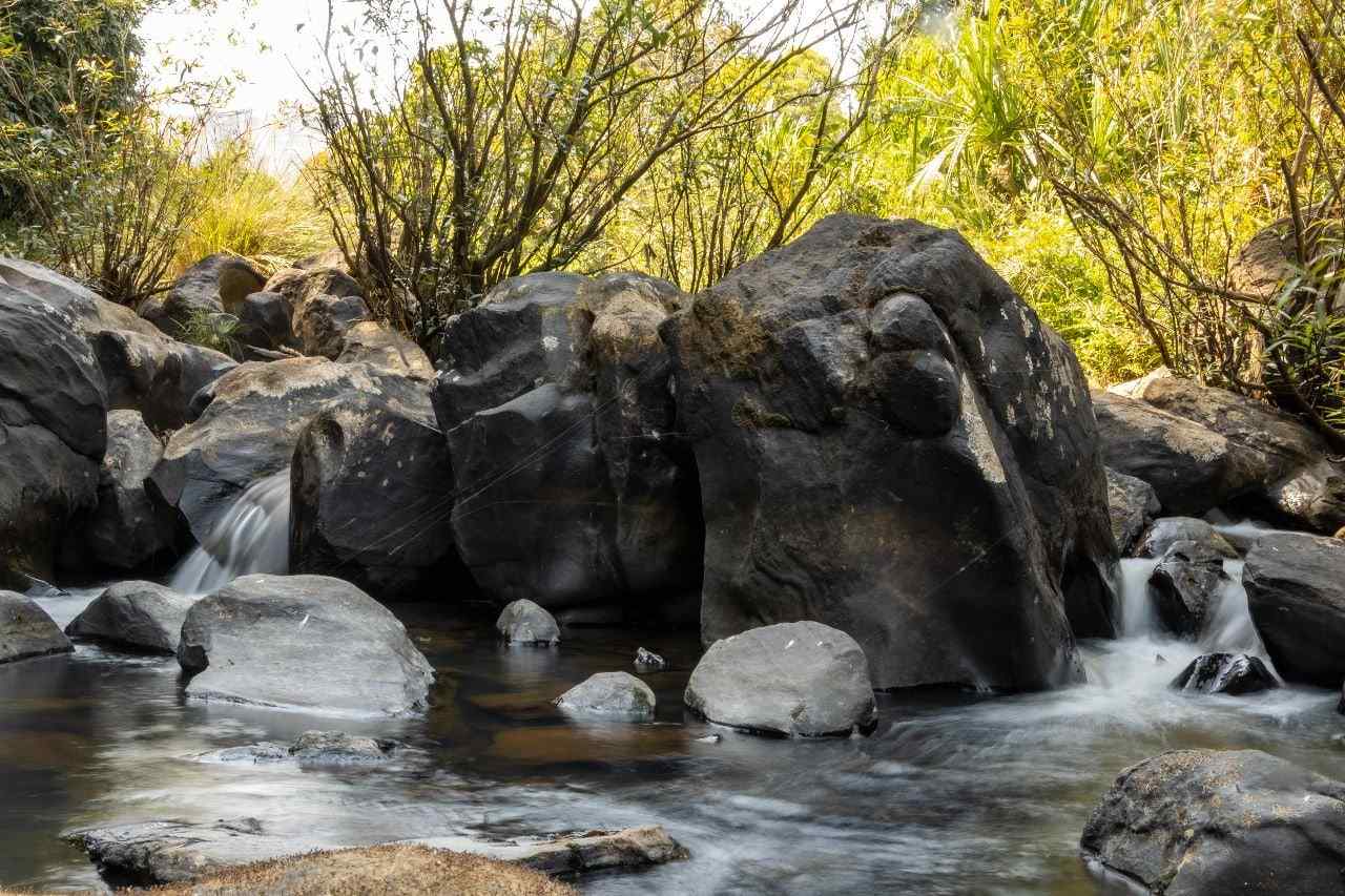 Indian Wilderness Cabins-image-3