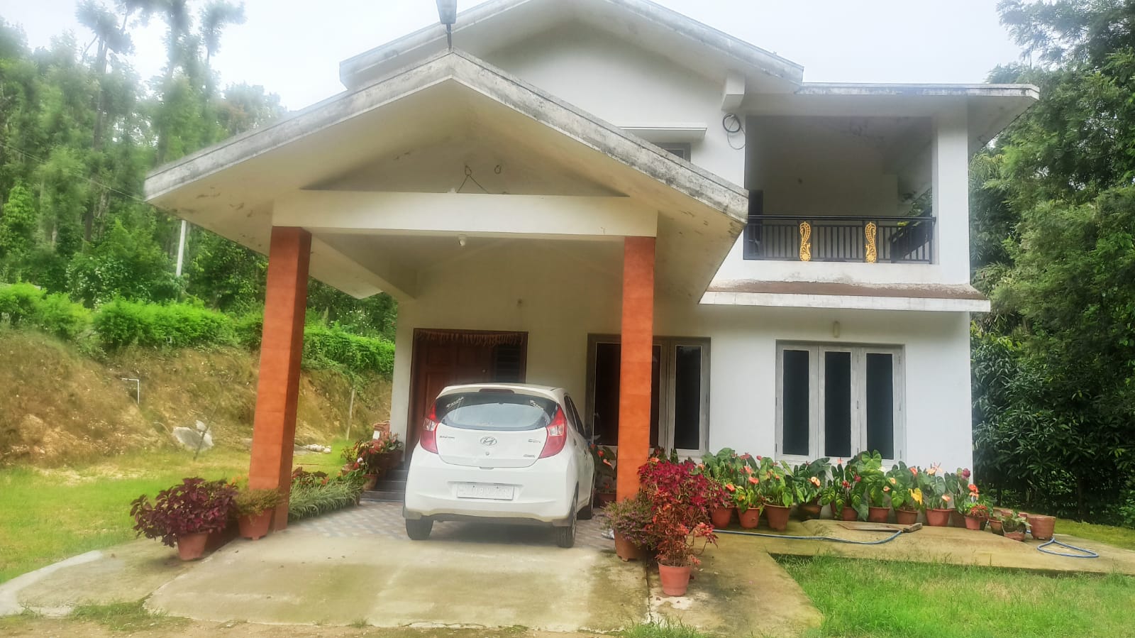 The Jungle House-image-1