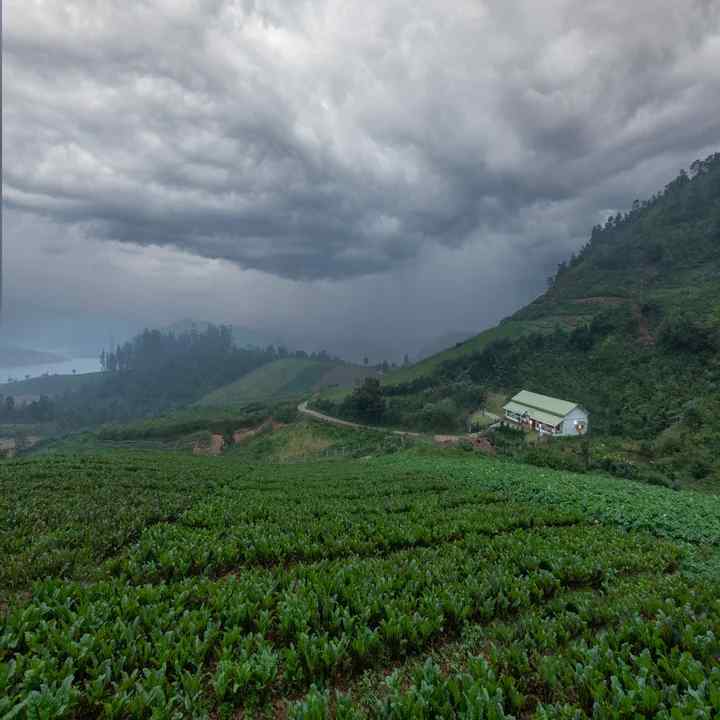 Green Mountain Villa-image-1