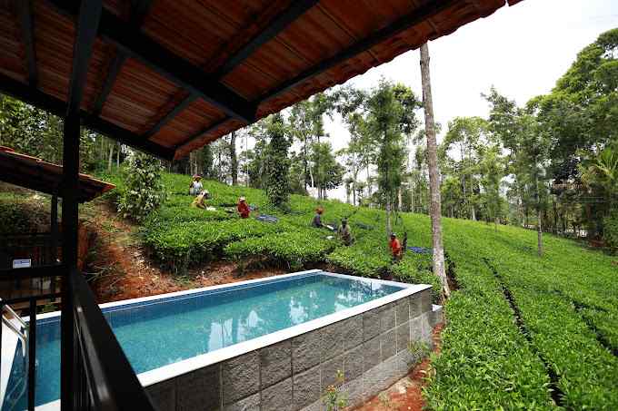 Tea Valley Pool Retreat-image-3
