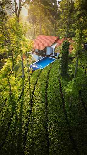 Tea Valley Pool Retreat, Munnar Kerala | video