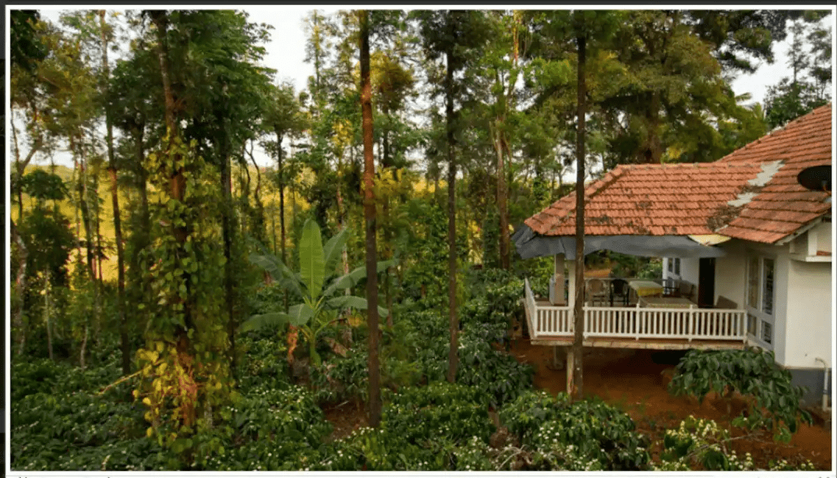 Blossom Retreat-image-3