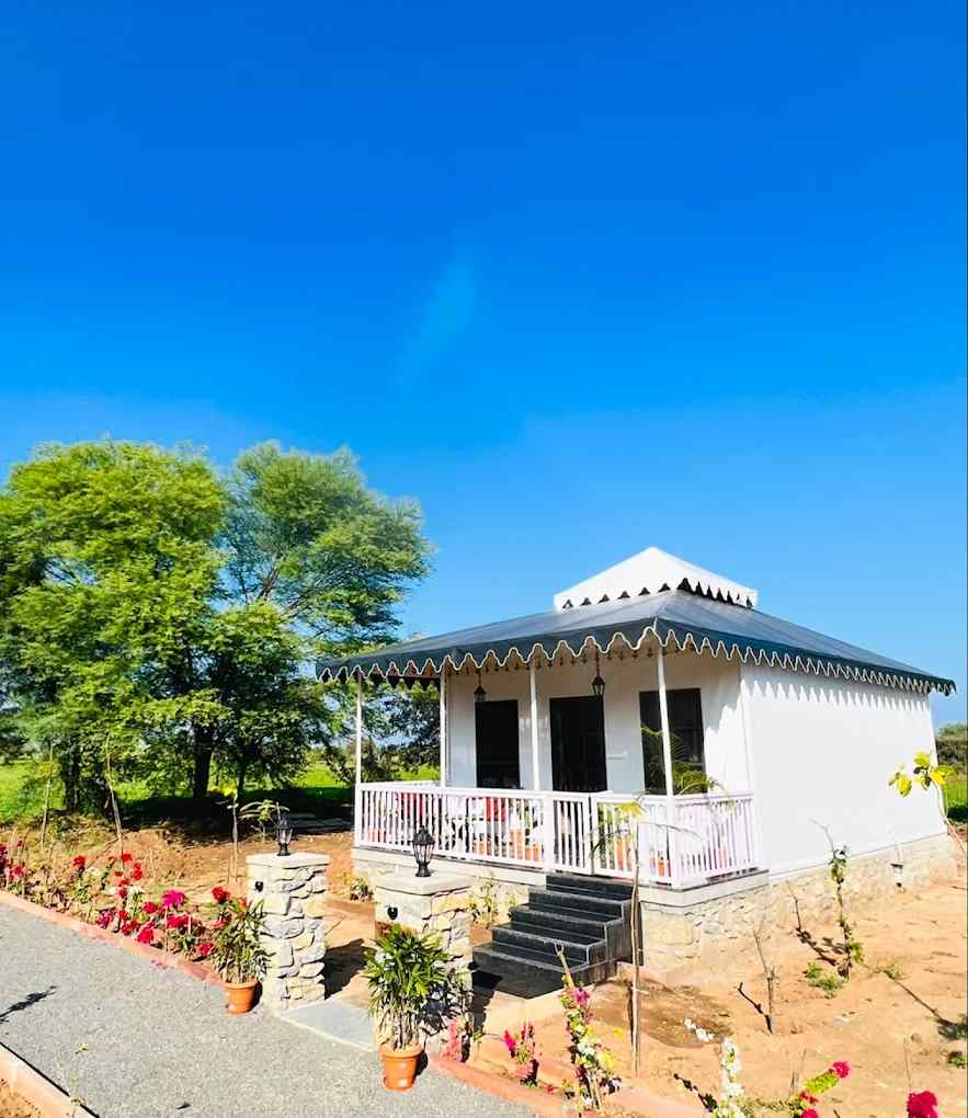 Leopard Lodge-image-1