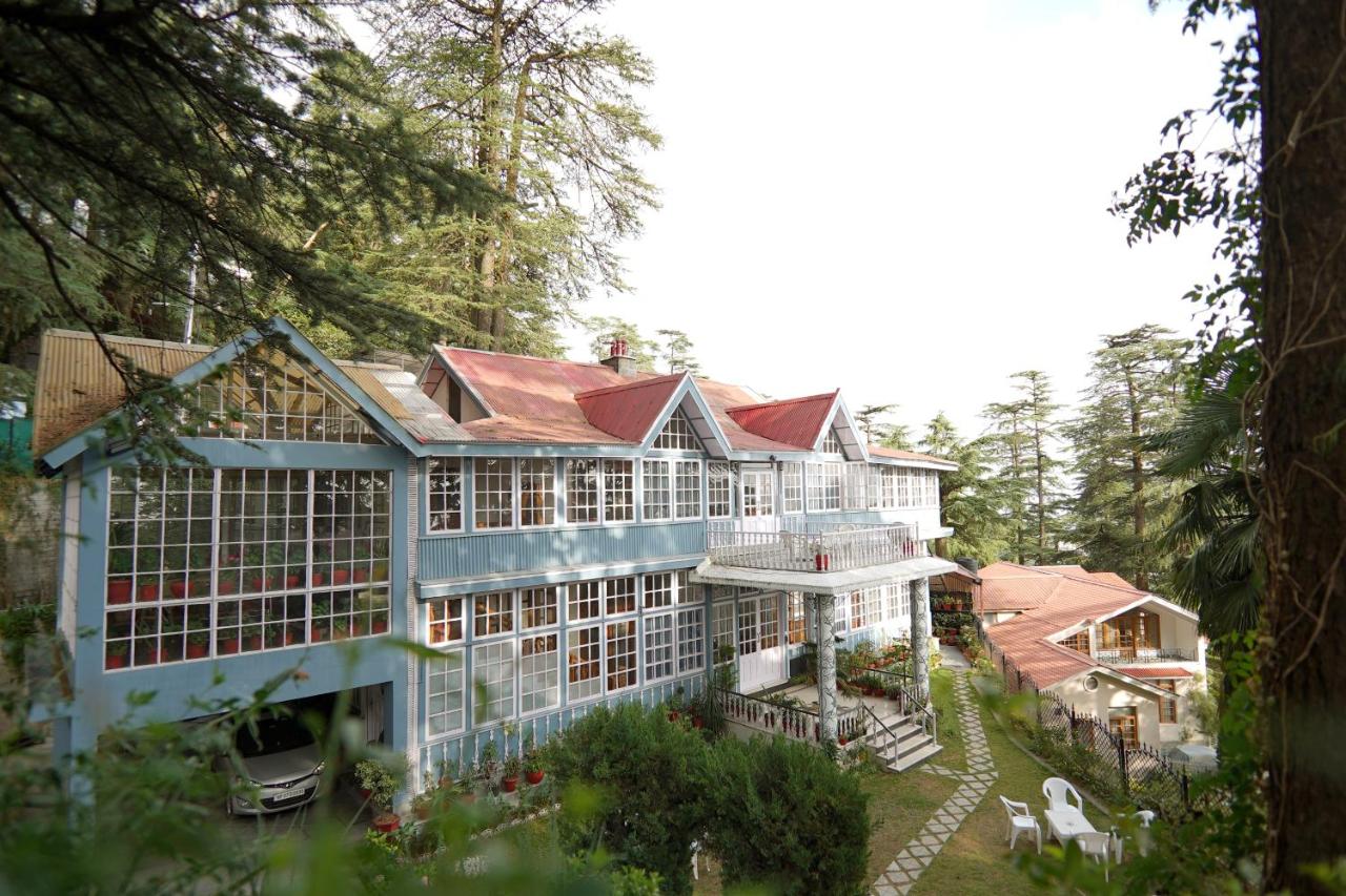Nature's Retreat, shimla Himachal Pradesh | video