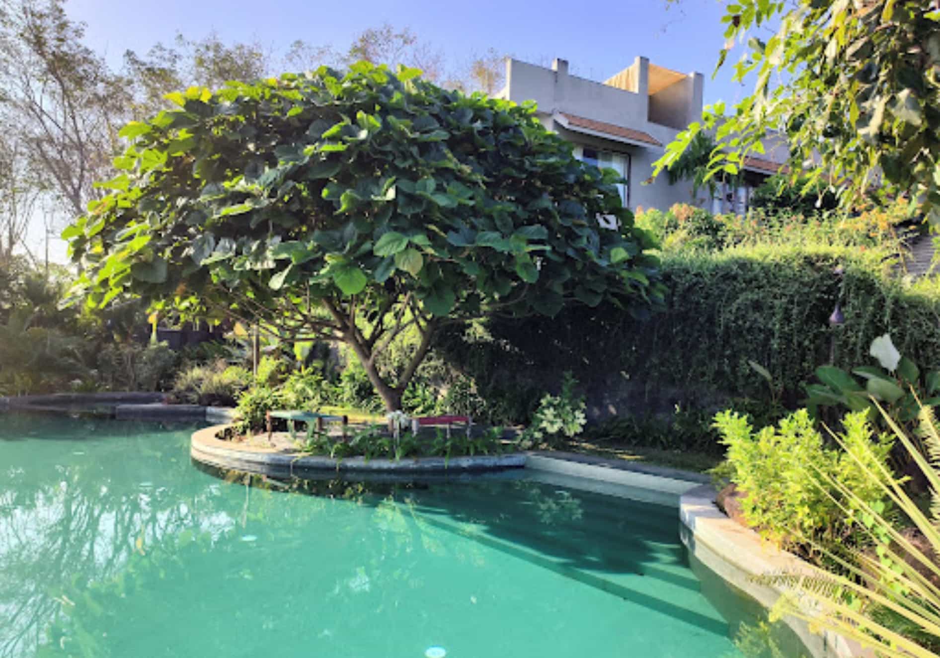 Architect Abode, Trivandrum Kerala | video