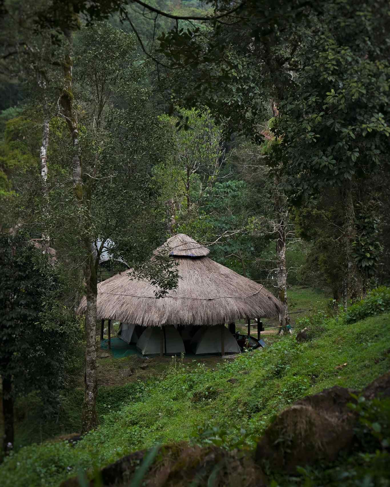 900 Kandi Wayanad-video-large