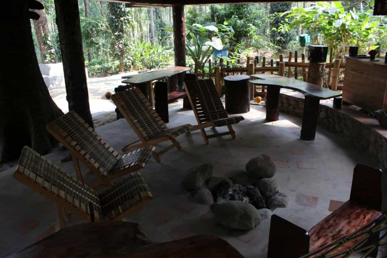Forest Tree House-image-3