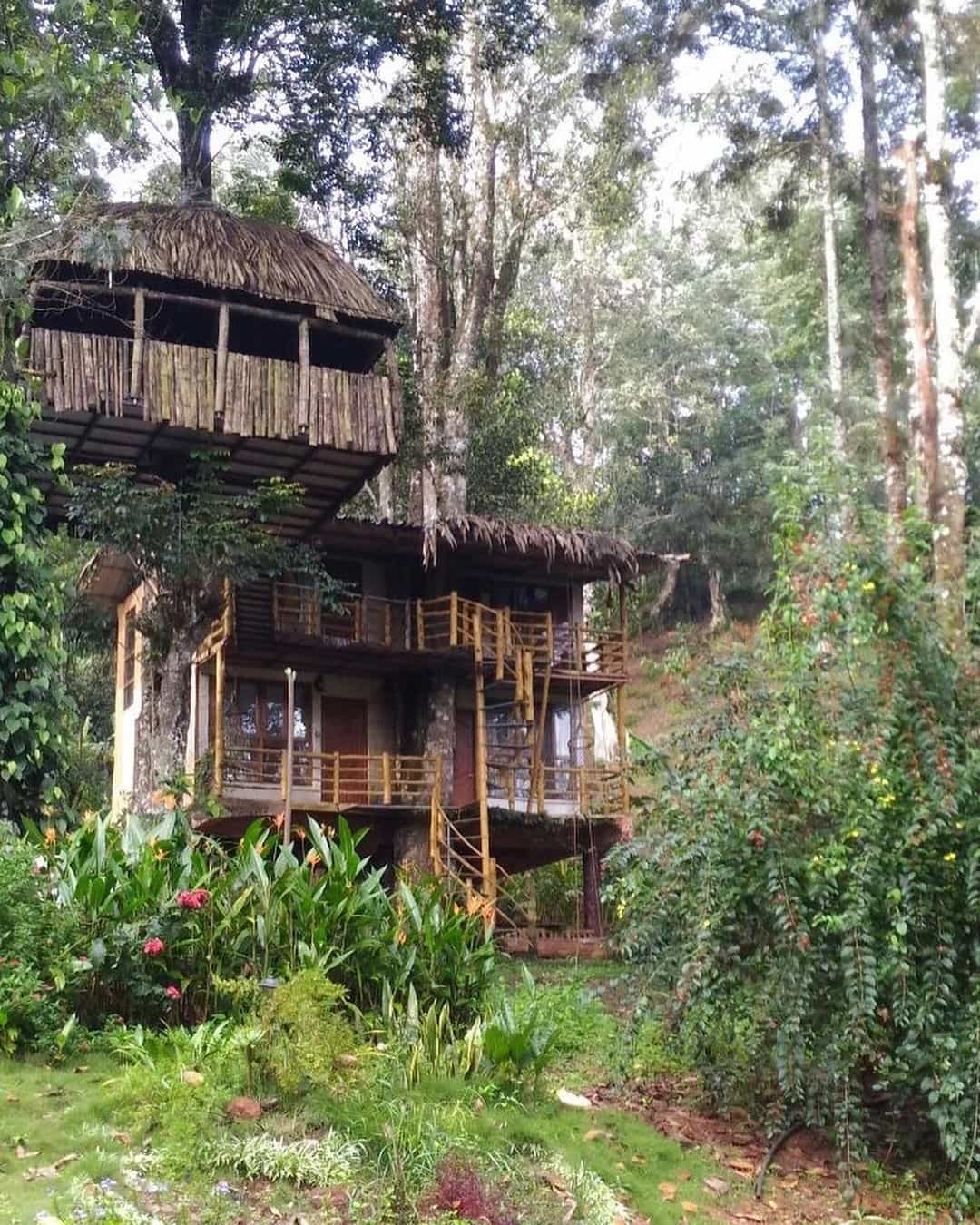 Forest Tree House-video-large