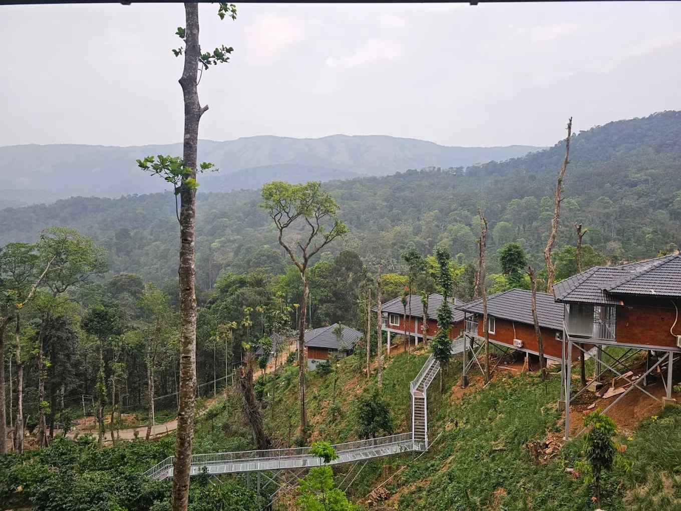 Elevated Cottages, Madikeri Karnataka | video