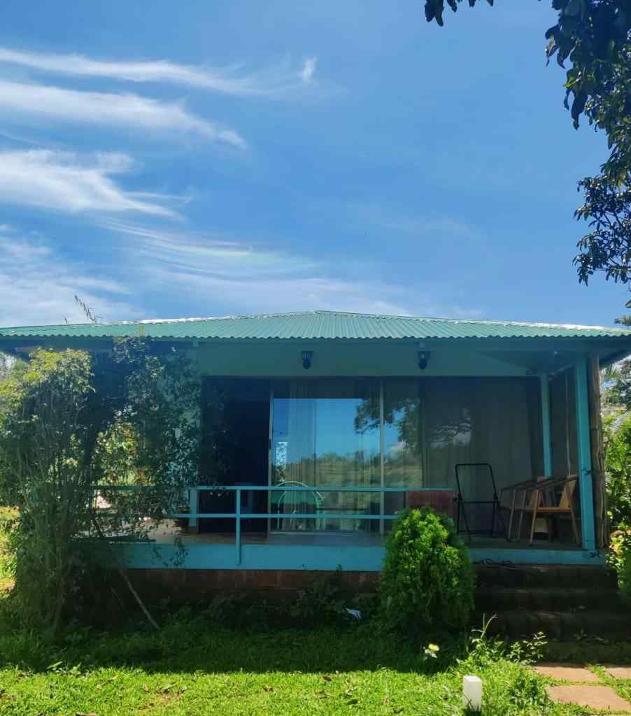 Valley View Experience from Rooms-image-3