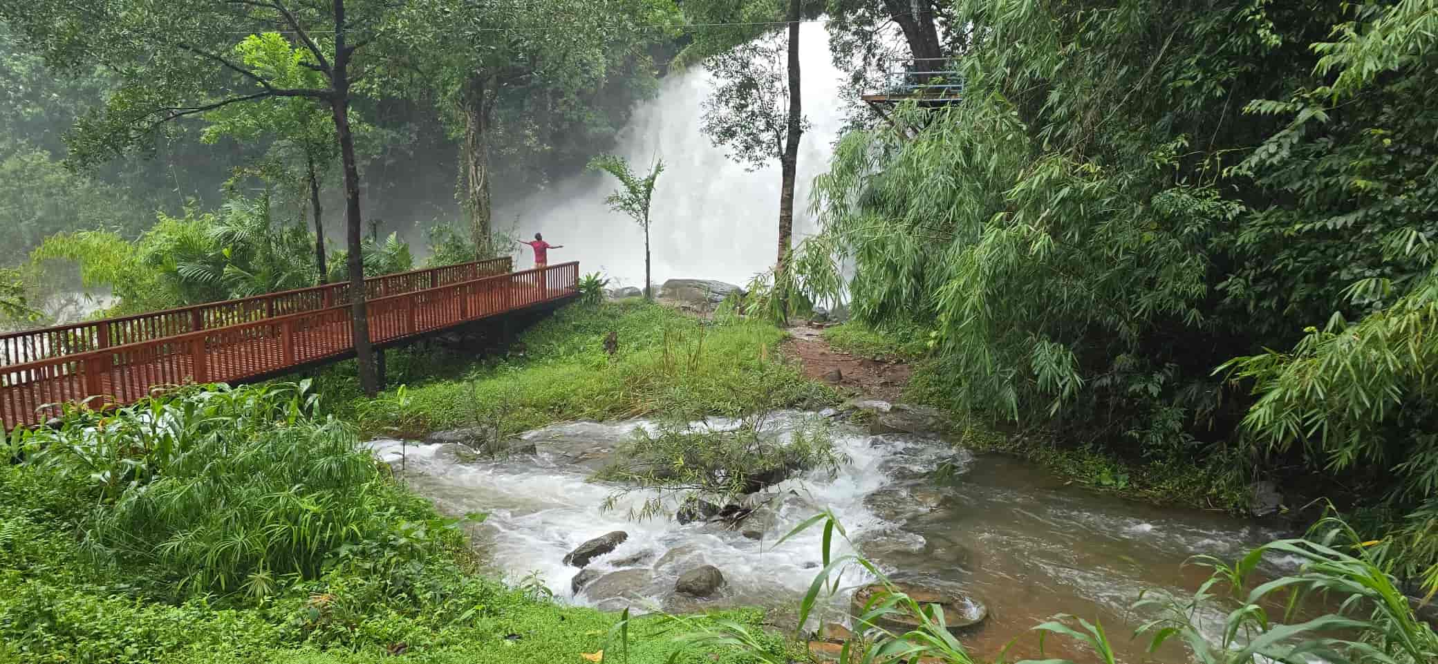 Private Waterfall Luxury Escape in Coorg-image-3