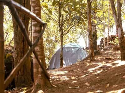 The Woodhouse-image-2