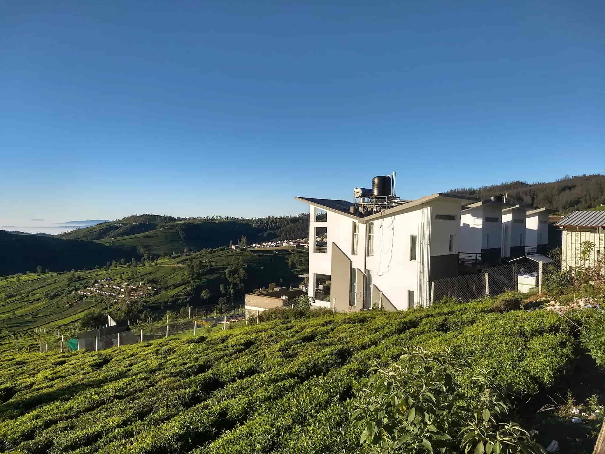 Infinity Pool Tea Plantation Escape in Ooty-image-3