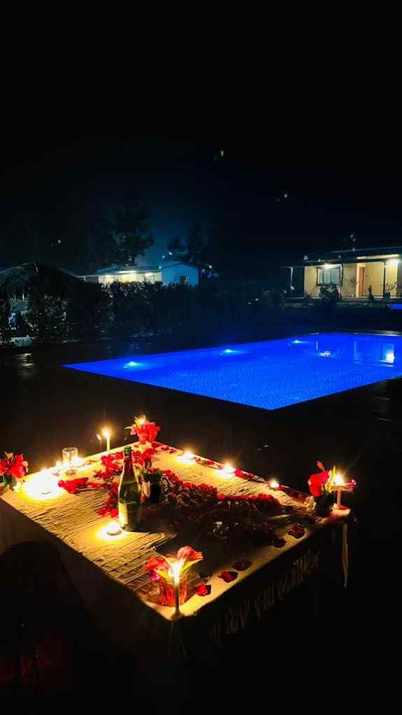 Wildforest Camp Experience-image-1