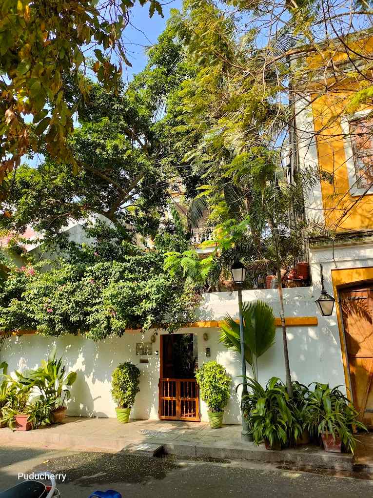 French Villa-image-2