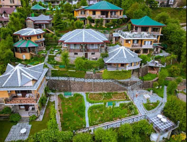 Scenic Mountain View Escape in Dharamshala-image-1