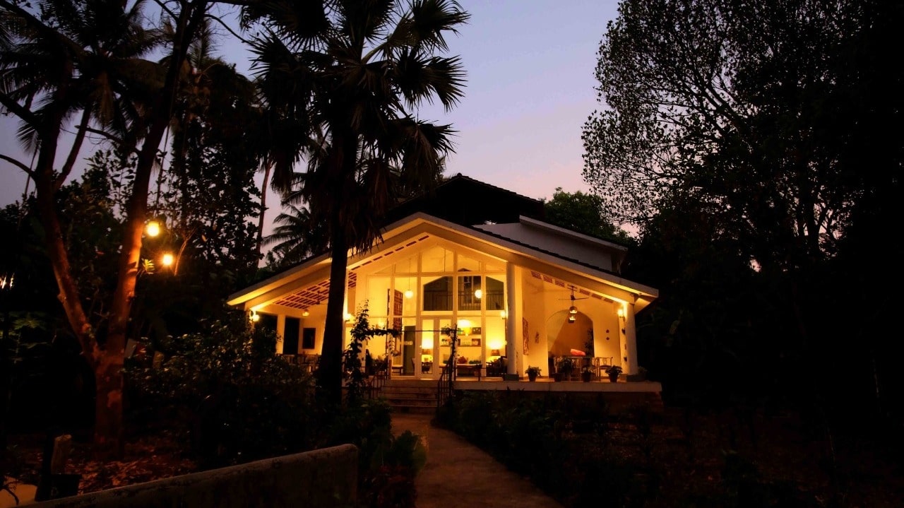 The Hidden Tree-image-1