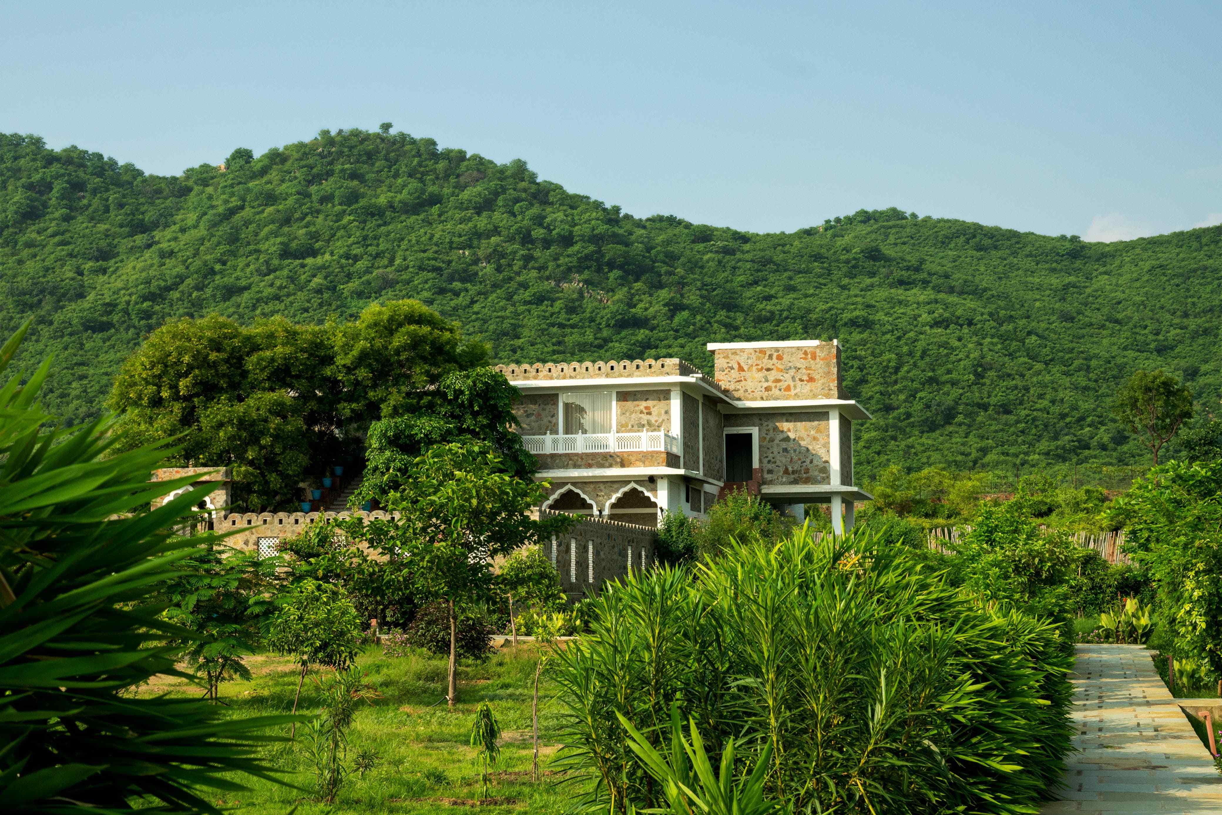 Luxury Jungle Stay With Pool in Aravalli Hills-image-2
