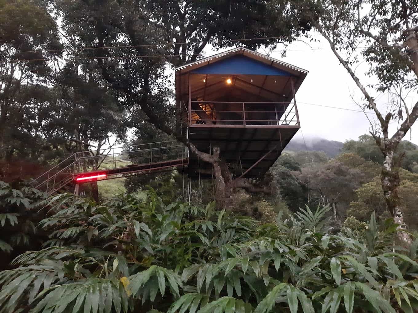 Treehouse Experience in Forest-image-1