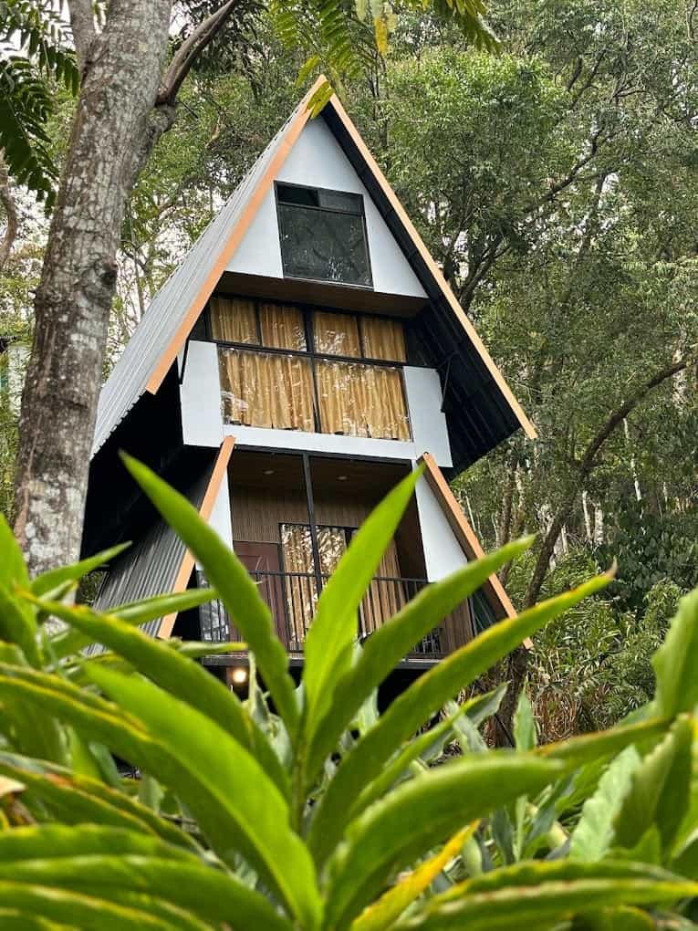 Treehouse Experience in Forest-image-2